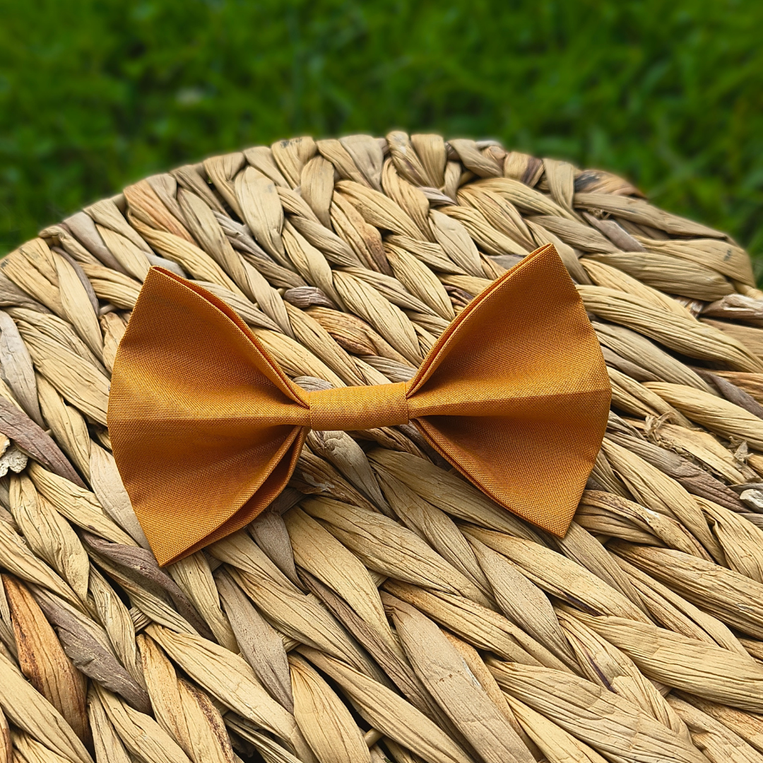 Fall Orange Dog Bowtie