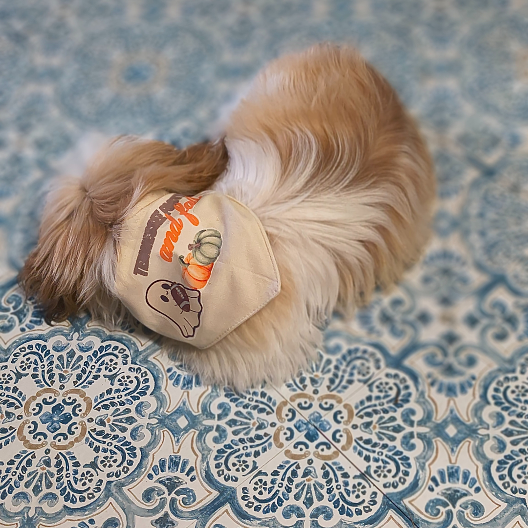 Football & Fall Dog Bandana
