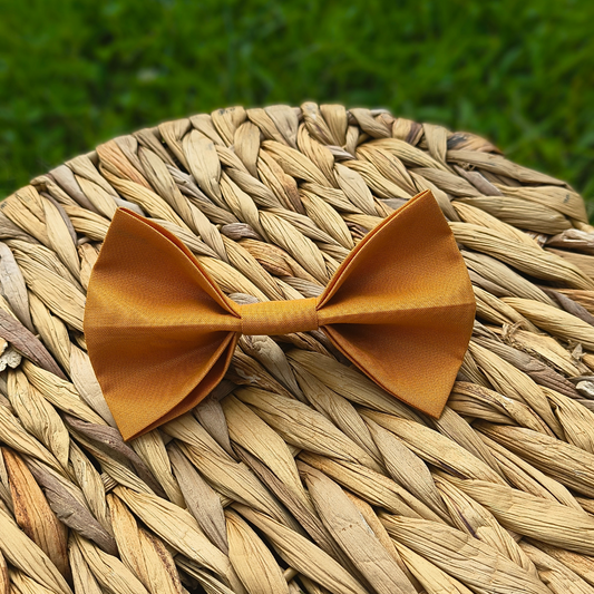 Fall Orange Dog Bowtie